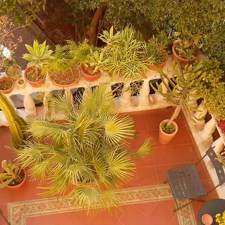 Bed & Breakfast Bed And Breakfast Villa Bruna