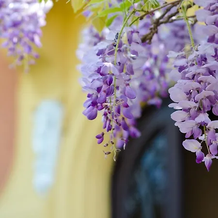 Bed And Breakfast Villa Bruna Neapol